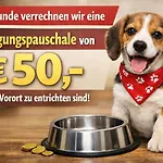 Traismauer 2 Lägenhet Wagram ob der Traisen
